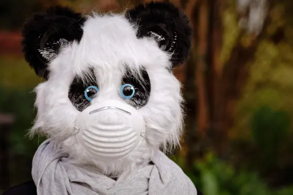 Thunderbolt Casino Soporte